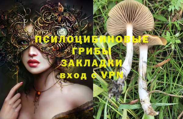 спайс Костерёво