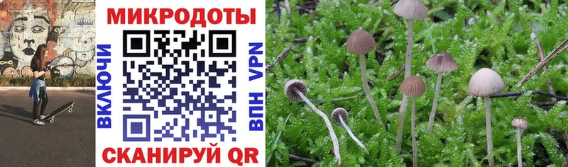 купить сайты Учалы маркетплейс как зайти Псилоцибиновые грибы Psilocybe