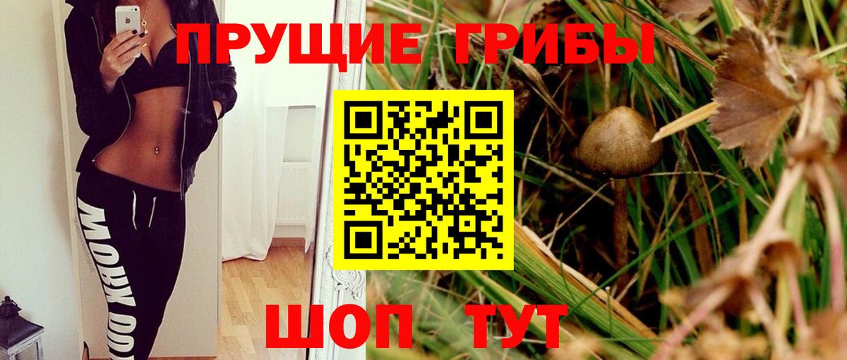 Псилоцибиновые грибы мицелий Учалы